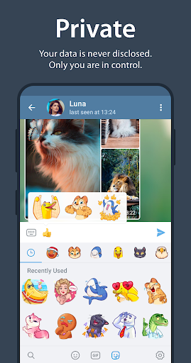 Telegram theme preview 3
