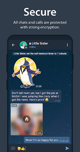 Telegram theme preview 5
